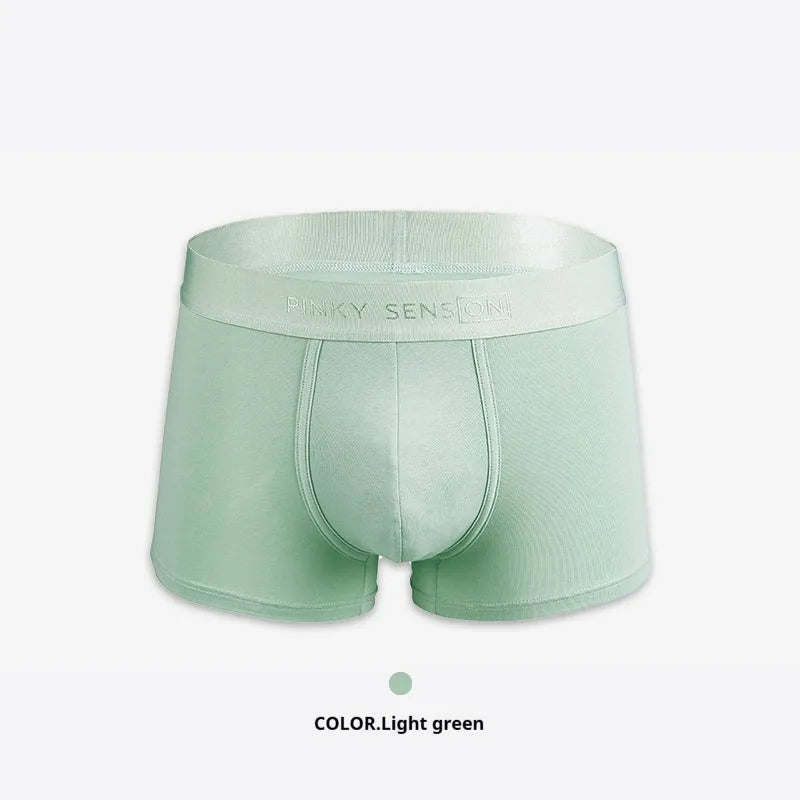 Men's solid colour cotton boxer shorts showing available colours: black, white, silver grey, light green