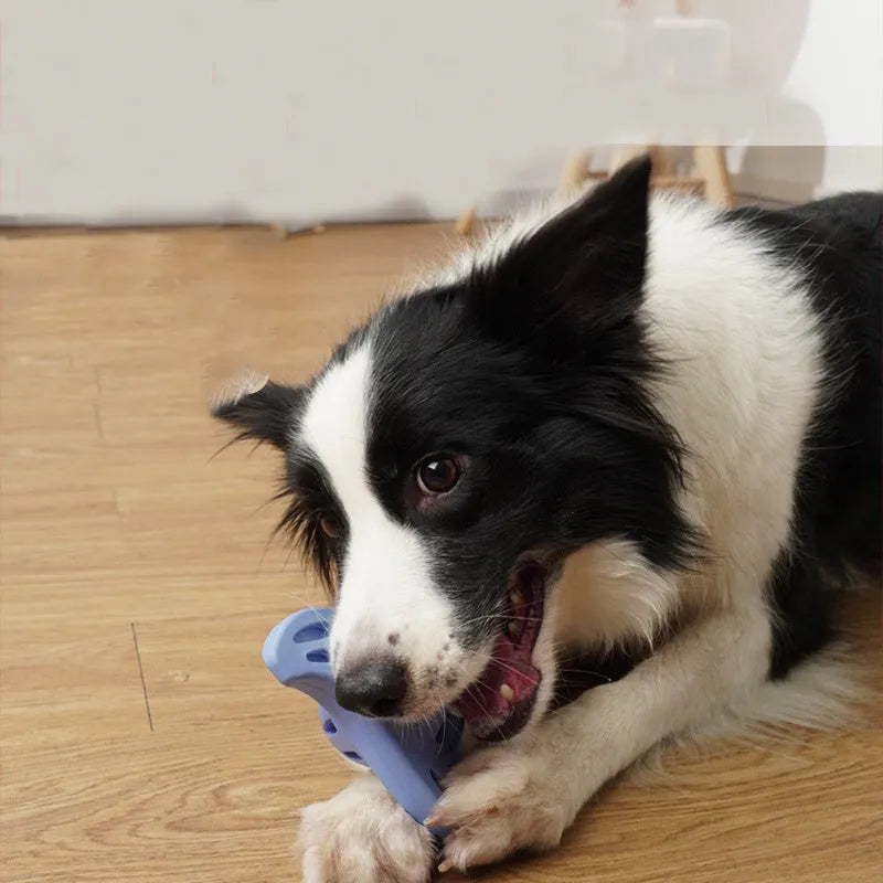 Blue boomerang-shaped dog toy with molar texture, dimensions 132x132x61mm for medium and large breed dogs