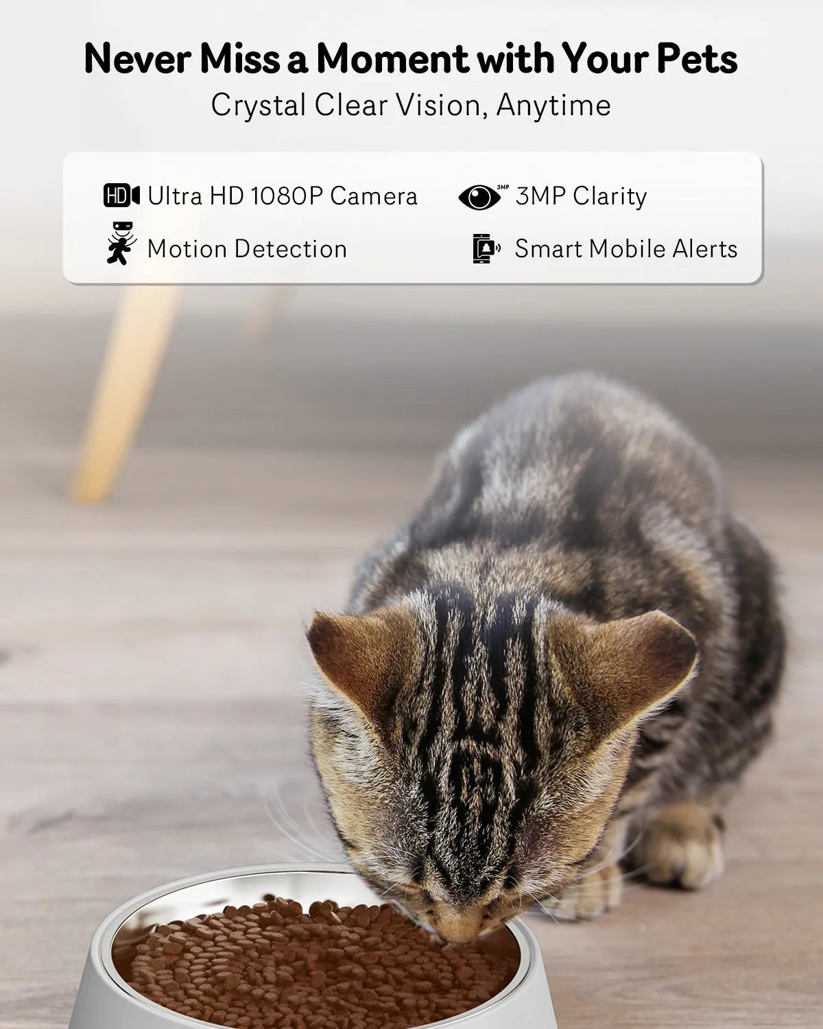 Automatic cat feeder with integrated camera for remote pet monitoring and feeding control