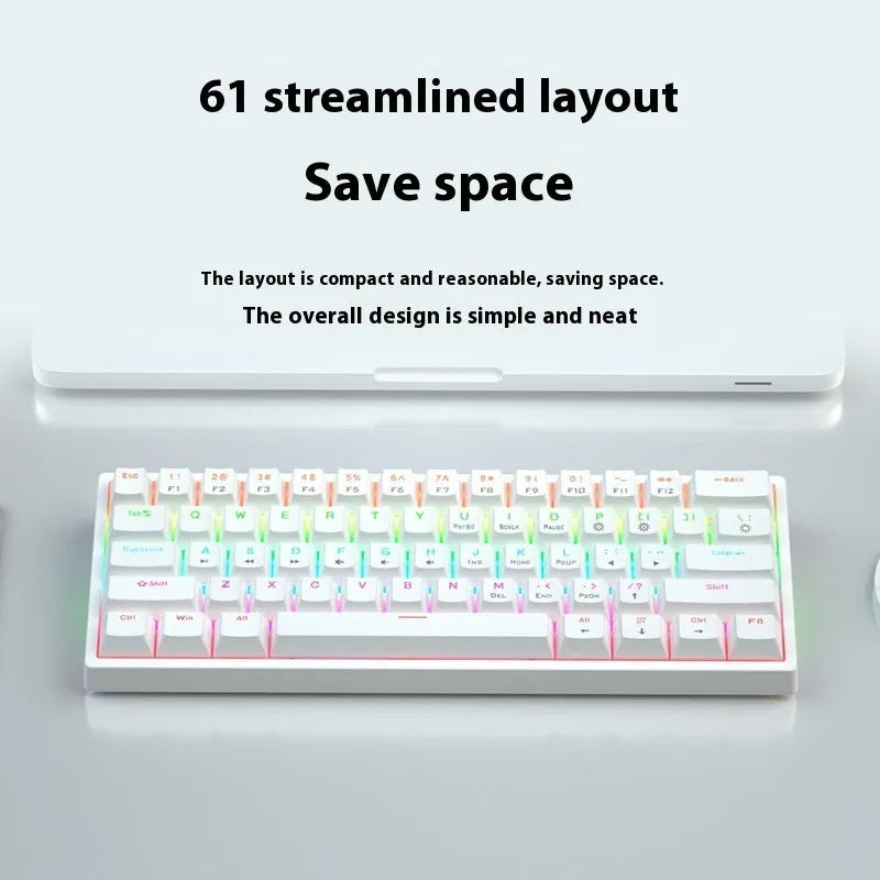 61 Key Small Mechanical Keyboard with Hot-Swappable Sockets, ABS Keycaps, Wired USB Connection, Multiple Switch Options Including Blue and White Tea Shaft, Compatible with Universal PC Models, 1.5 Metre Cable Length
