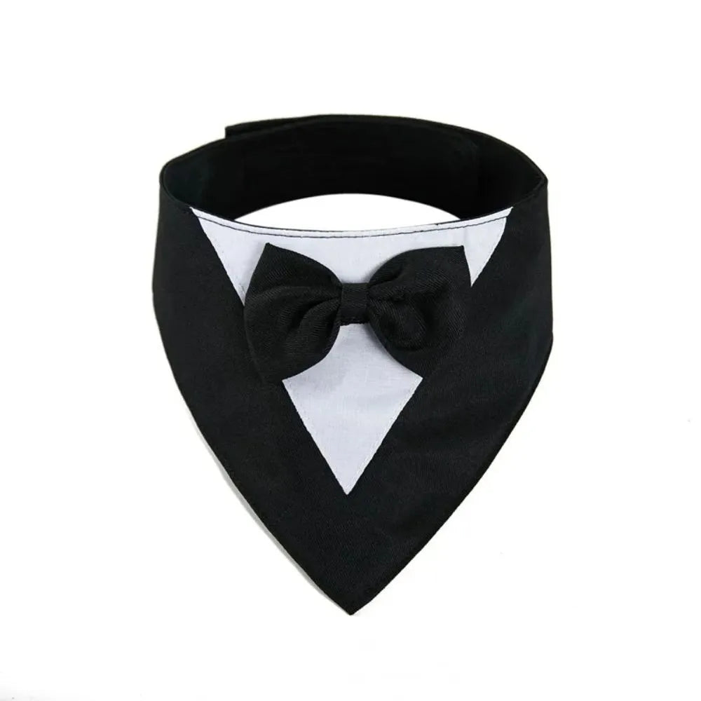 Triangle-shaped pet bib scarf with a bow, shown in a bright colour, displaying the soft fabric and absorbent towelling lining.