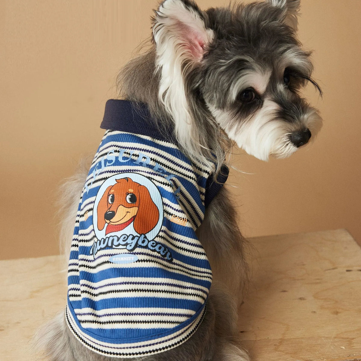 Tony Bear dog striped polo shirt in cotton, blue or brown, sizes XS to XXL, casual pet clothing