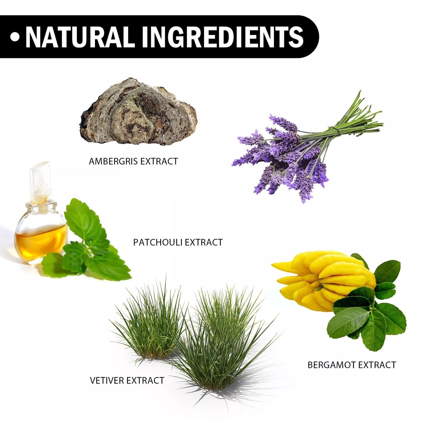 Men's niche perfume with bergamot and patchouli extracts, 50ml