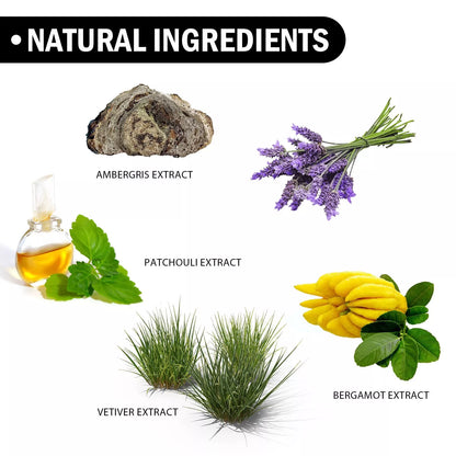 Men's niche perfume with bergamot and patchouli extracts, 50ml