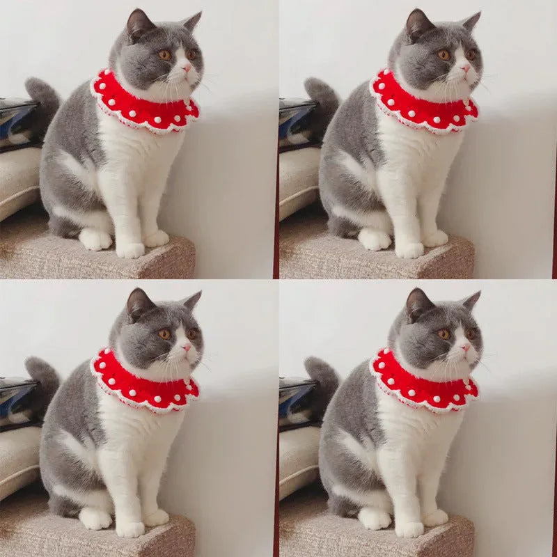 Cartoon-patterned knitted wool collar for small pets with size chart showing XS, S, M, L measurements