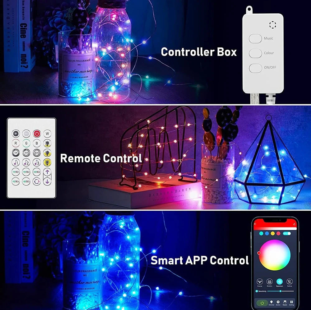 Bluetooth copper wire string lights with 100 LEDs on 10m flexible wire, USB powered with smartphone control