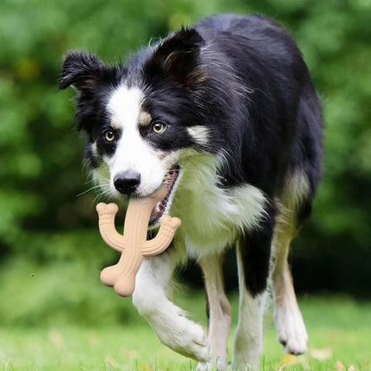 Beige cactus-shaped dog chew toy made from bamboo fibre and rubber on a white background.
