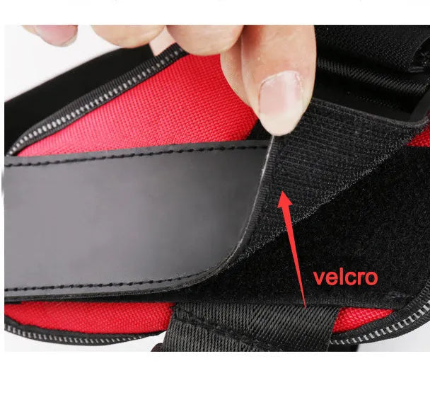 A reflective adjustable no-pull dog harness in nylon, shown on a dog, with a sturdy handle and D-ring for leash attachment.
