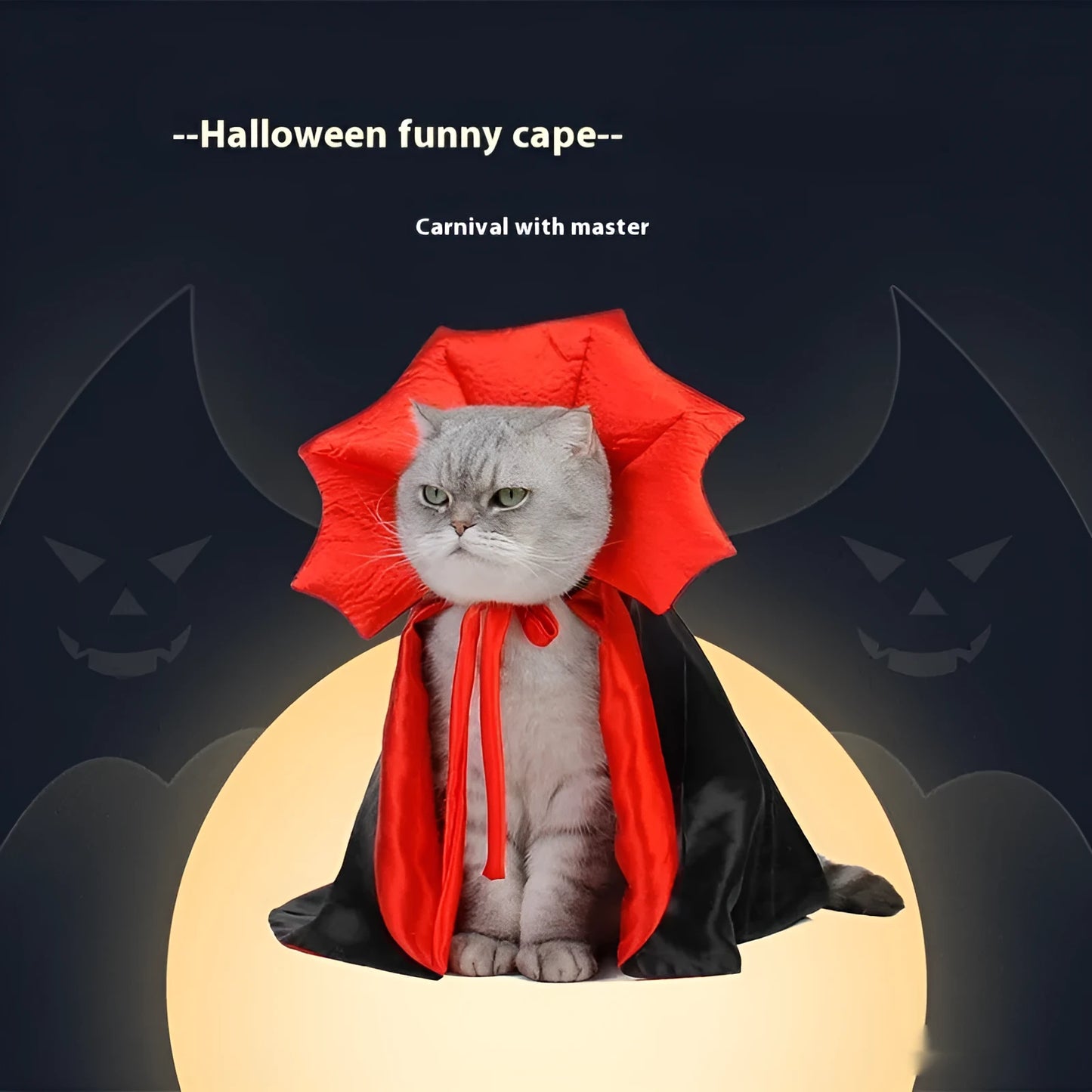 Black and red Halloween costume clothing for cats and dogs on a pet mannequin