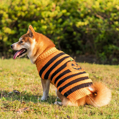 Halloween dog sweater in orange and black designs for small to XL dogs