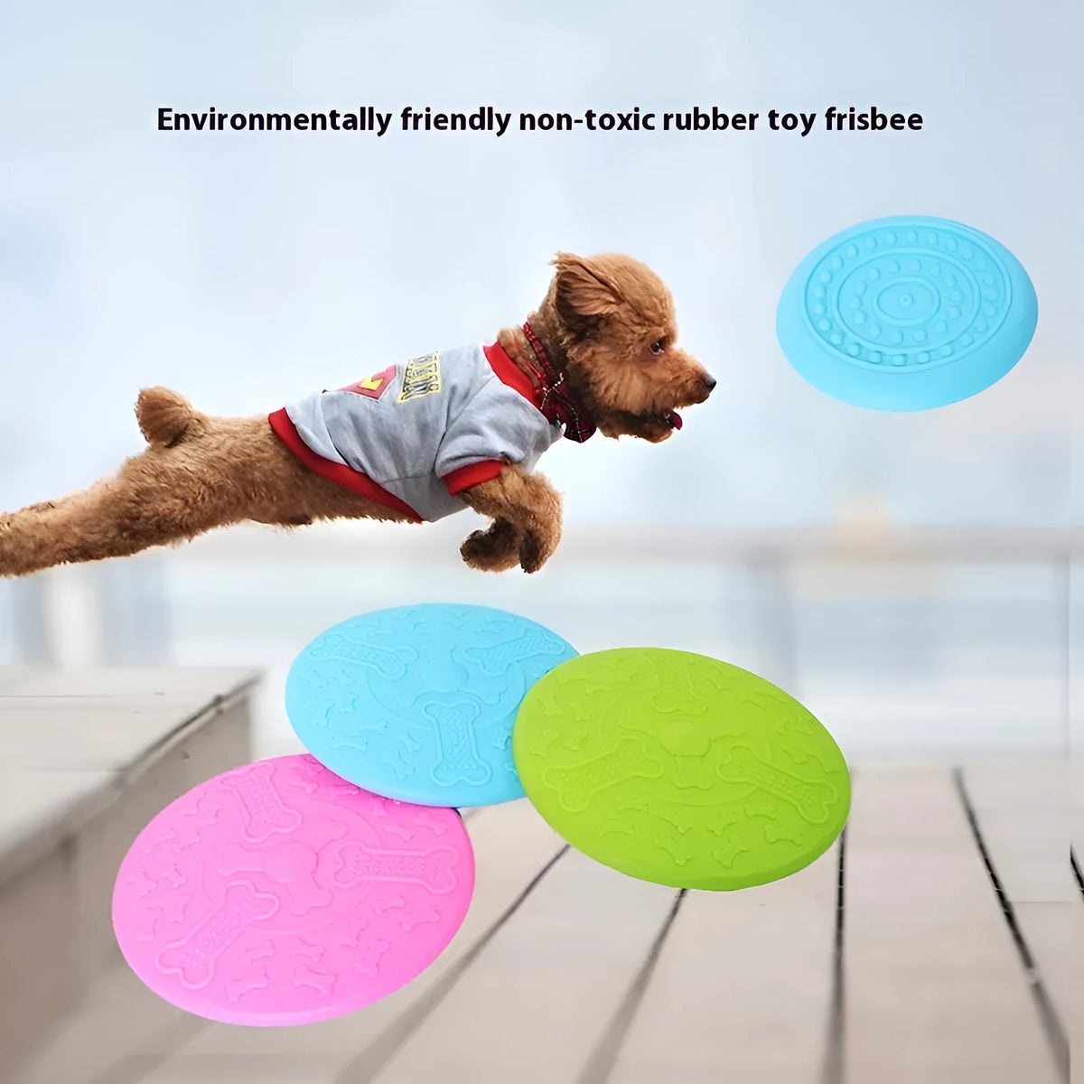 Rubber dog frisbee plastic pet toy in small and large sizes with multiple colour options