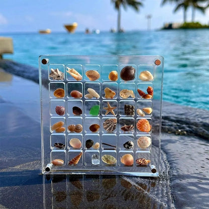 Acrylic magnetic seashell and jewelry organizer box with 36 or 64 grids for versatile storage