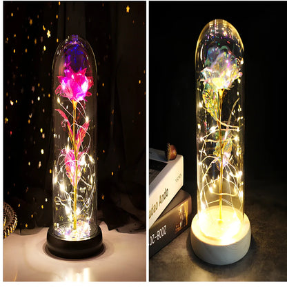Little Prince rose arrangement under 20x9cm glass dome with gold foil flowers