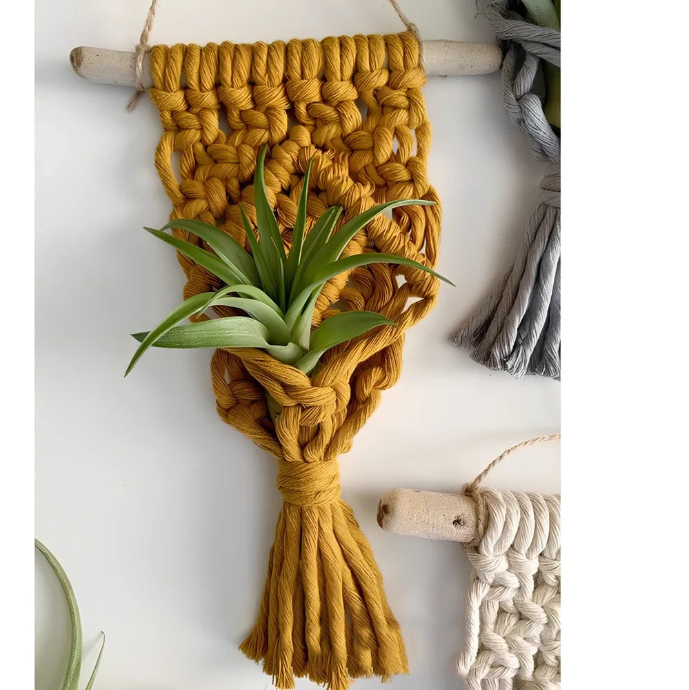 Hand-woven cotton macrame plant hanger with 15cm wooden basket displaying air plant