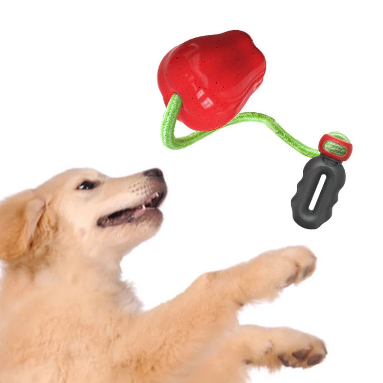 Green squeaky apple-shaped dog toy with treat-dispensing function, approximately 10-12cm diameter