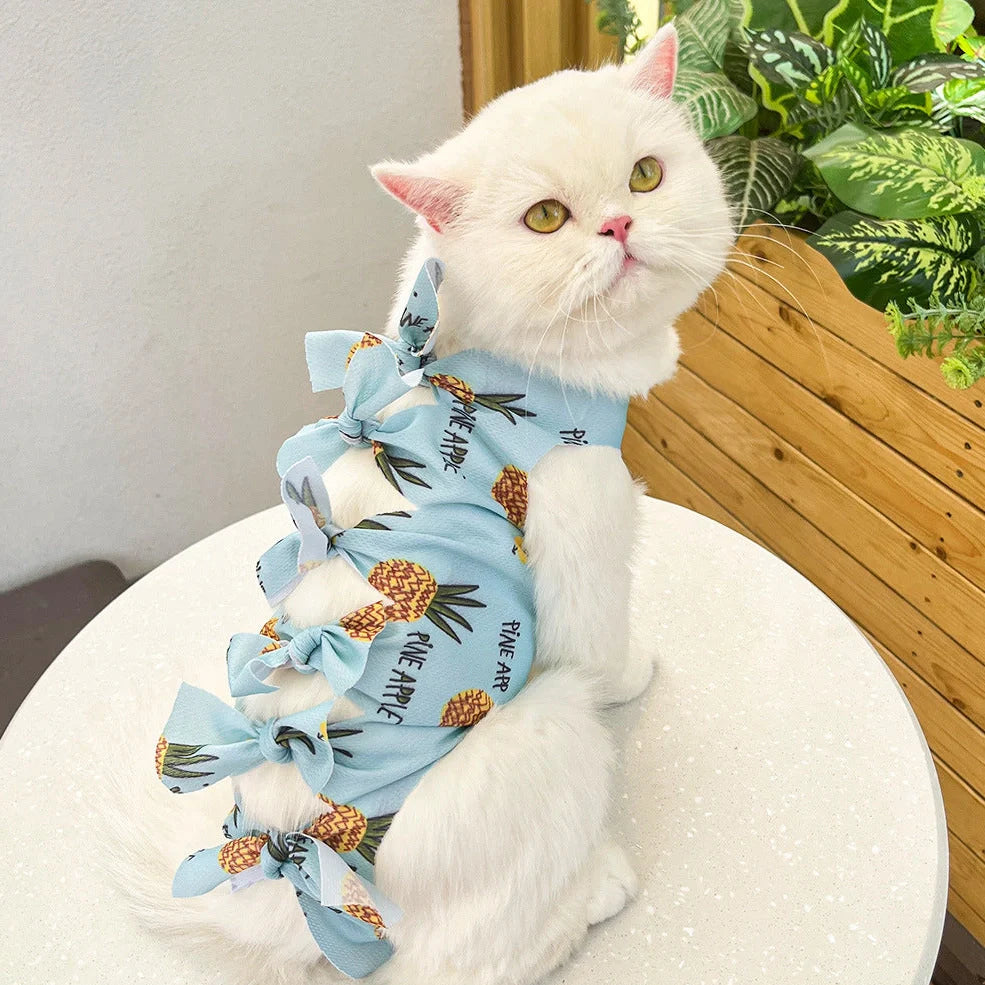 Lace-up cat sterilisation clothing in blue colour on cat showing adjustable back fastening and full-body coverage