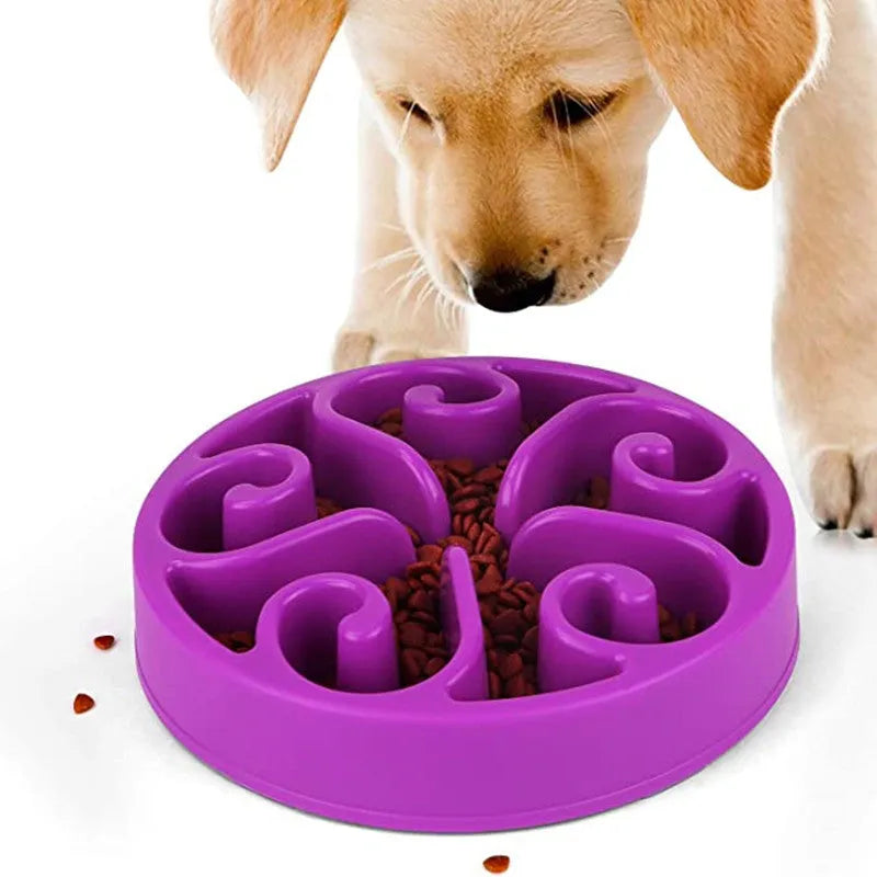 Slow feeder dog bowl with maze pattern and non-slip base in assorted colours