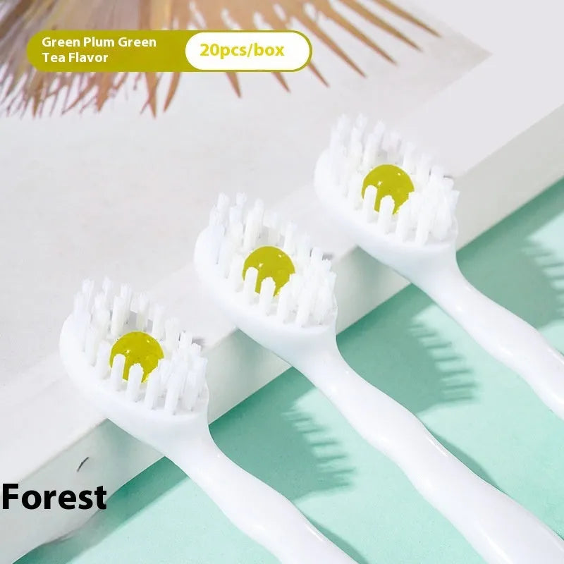 Box of disposable bead toothbrushes in mint, peach, plum green tea, and mixed flavours for travel.