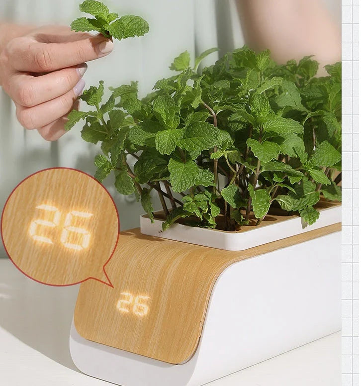 Adjustable Hydroponics Planter with Customizable Grow Lights for Indoor Garden