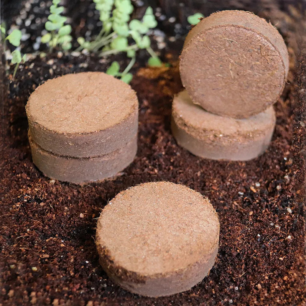 Nutrient soil blocks for vegetable planting showing dry and expanded states with size variations