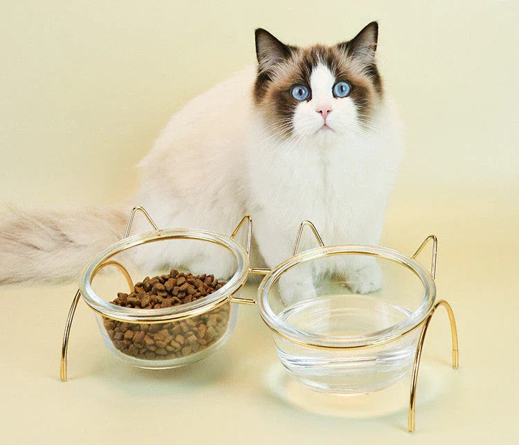 Elegant glass cat bowl with raised metal stand for pets, featuring a shimmering glass bowl and sturdy metal frame to support your cat's hydration and posture.
