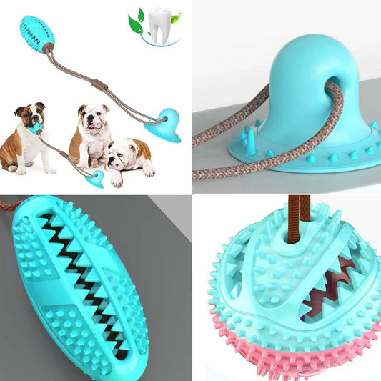 Red and blue silicone dog ball toy with suction cup attached to tile surface