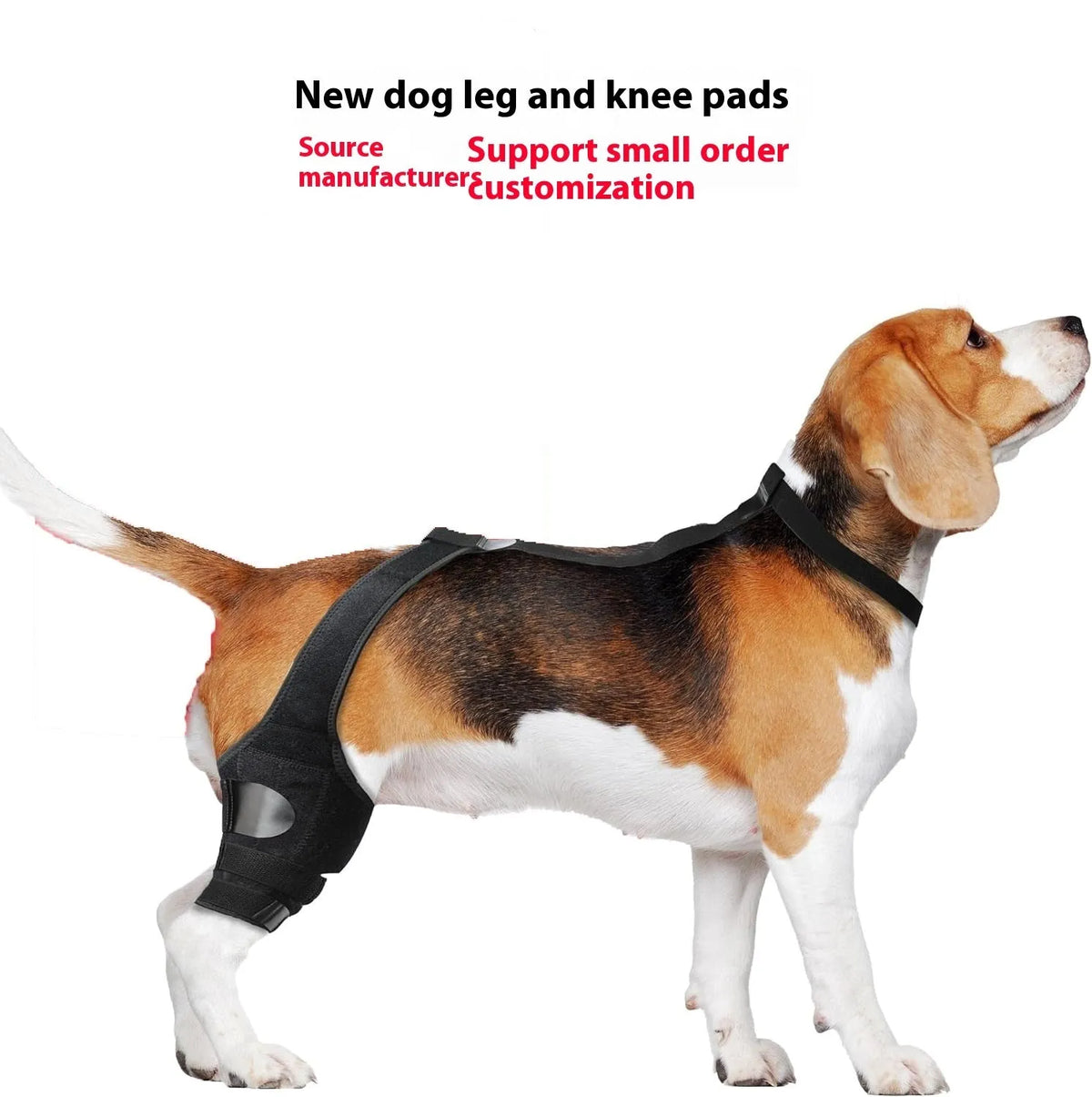 Neoprene dog hind leg knee brace assist strap in collar black colour with adjustable closure.