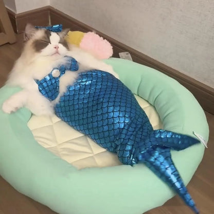 Blue pet mermaid costume with fish tail on a cat, showing scale detail and chest strap.