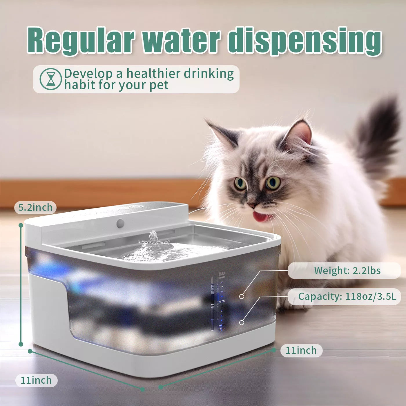 Automatic Pet Water Dispenser with water pump and filter for clean hydration