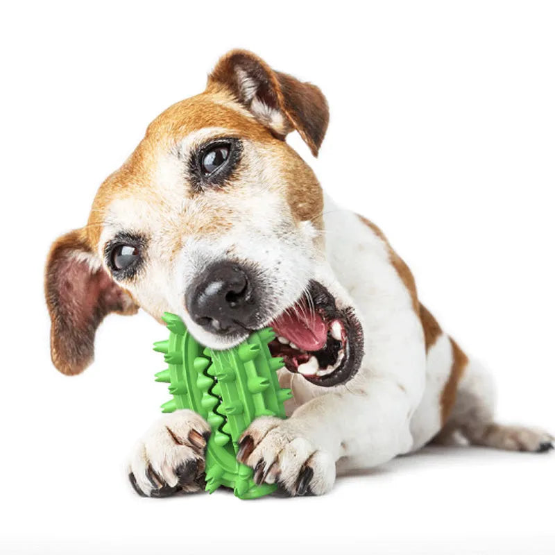 Green cactus-shaped dog toothbrush toy for dental cleaning, with bumps and central channel, on white background