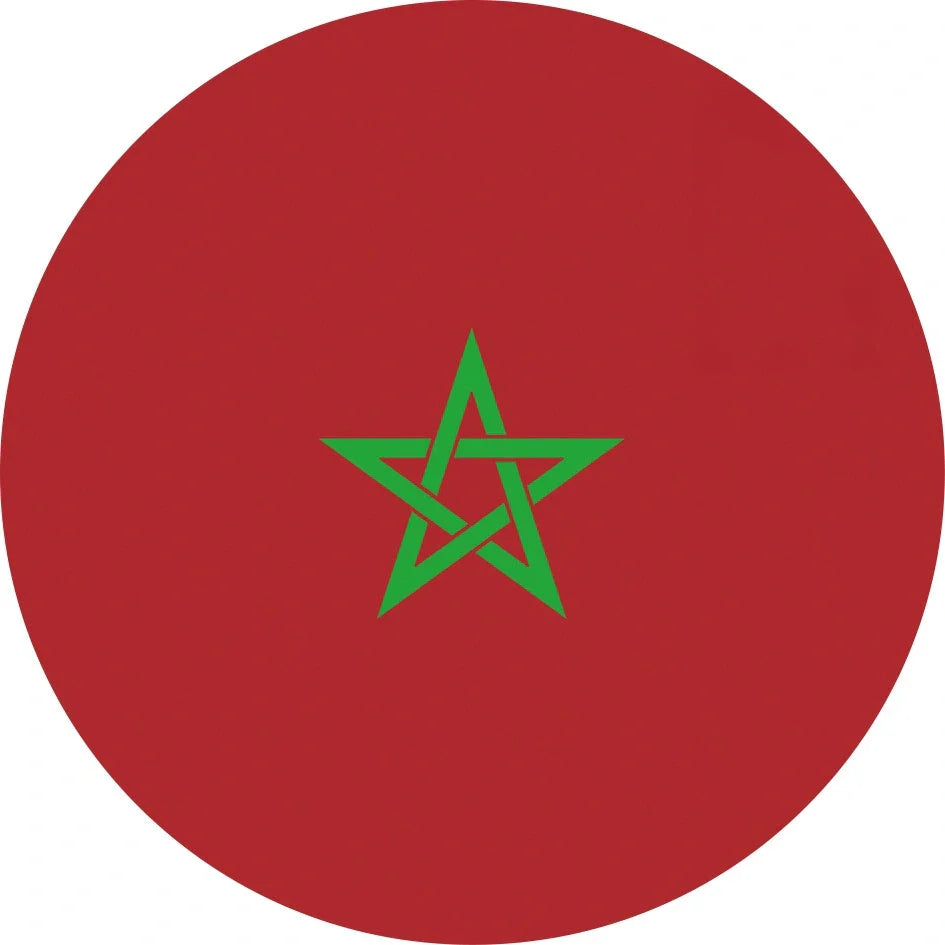 World Cup Qatar football themed biodegradable dishwashing sponges with national flag designs