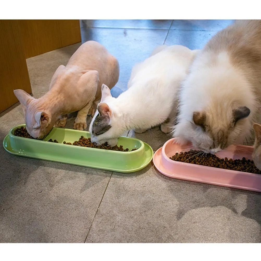 Green raised pet food and water bowls with non-slip leakproof bases for dogs and cats
