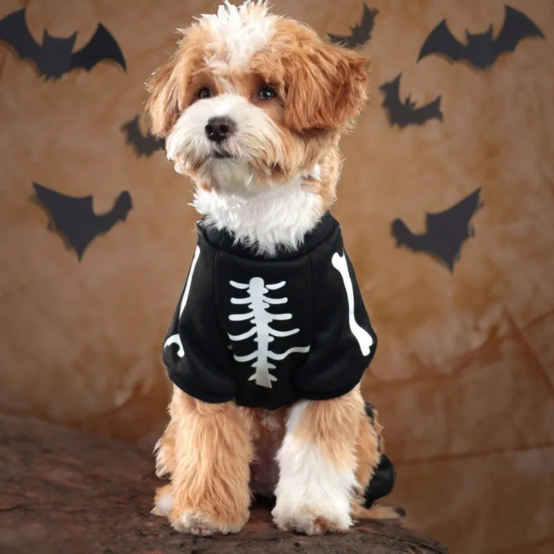 Halloween luminous skeleton bones four-legged pet costume for dog or cat in milk silk or sweater fabric.
