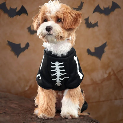 Halloween luminous skeleton bones four-legged pet costume for dog or cat in milk silk or sweater fabric.