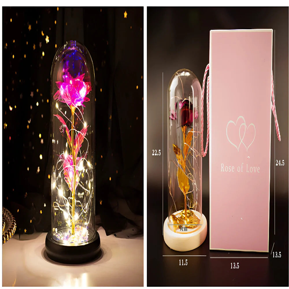 Little Prince rose arrangement under 20x9cm glass dome with gold foil flowers