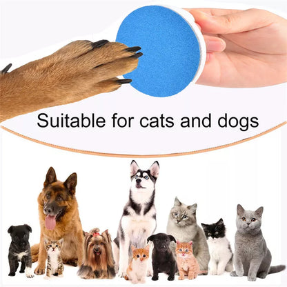 360 Rotating Cat Dog Scratch Board with Treats for Nail Trimming in multiple colors