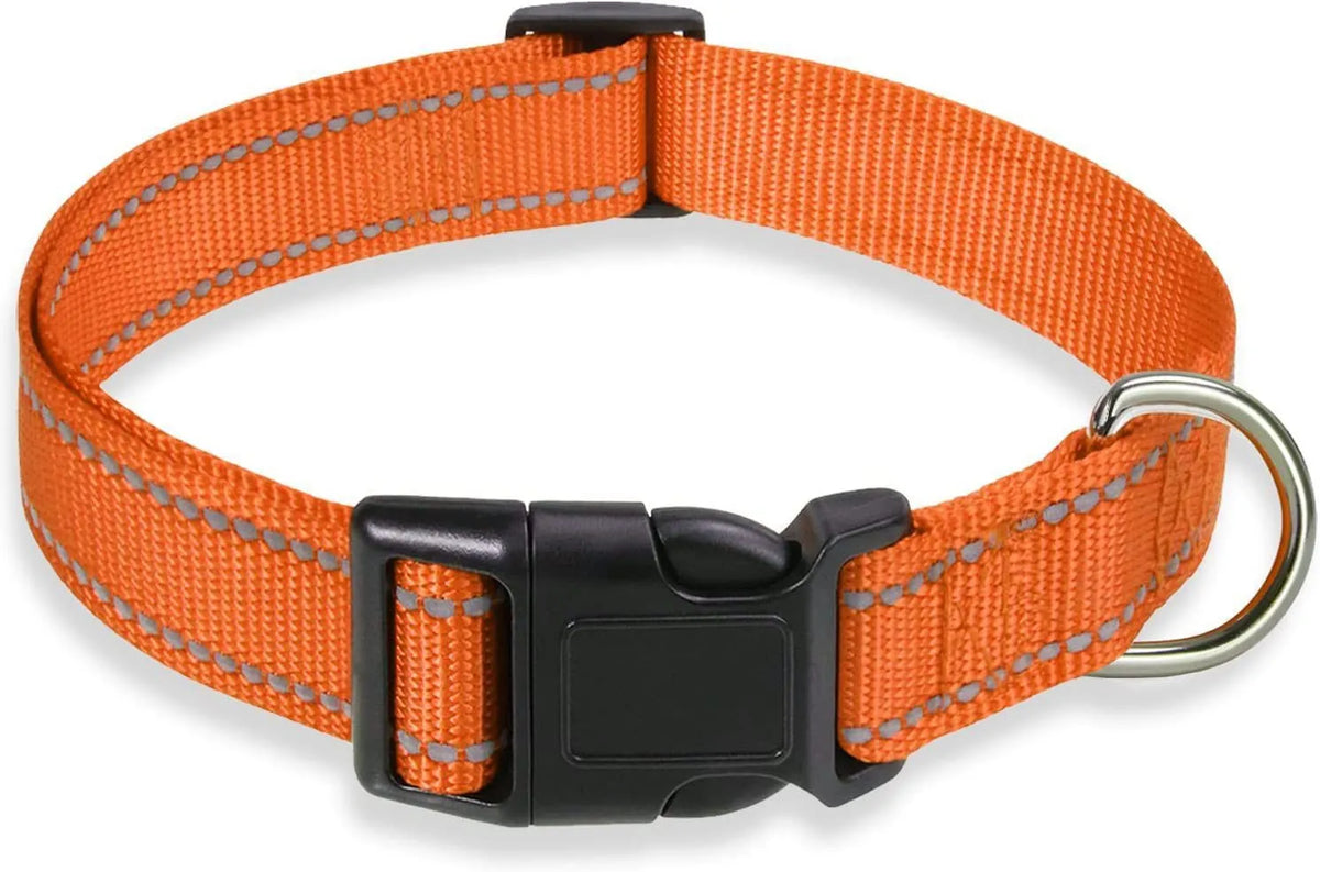 Adjustable nylon dog collar with chest strap in multiple colour options for secure walking