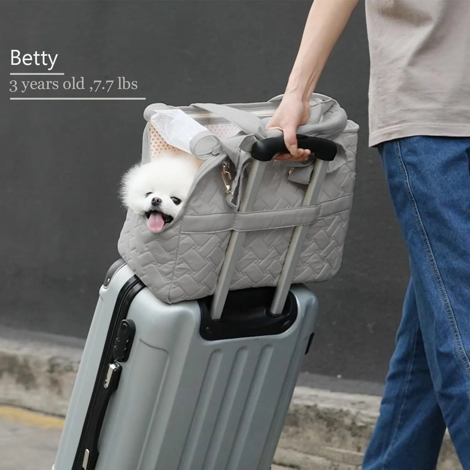 Grey or white cat carrier handbag with breathable mesh panels, safety cord, and multiple pockets for small pets