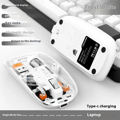 Transparent wireless computer mouse showing internal components with USB connection