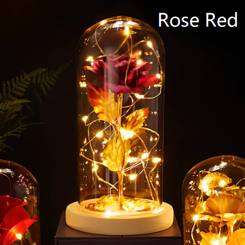 Little Prince rose arrangement under 20x9cm glass dome with gold foil flowers