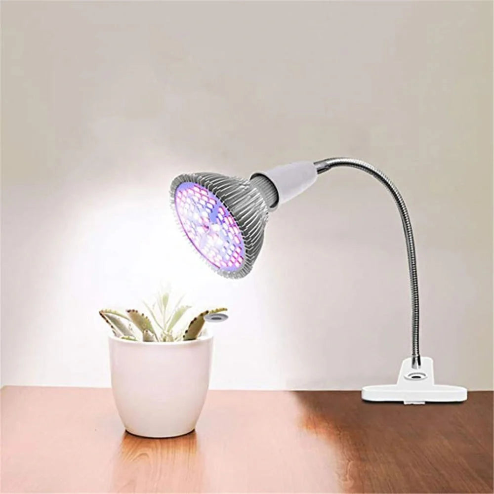 LED Grow Light with flexible gooseneck and clip for indoor plants