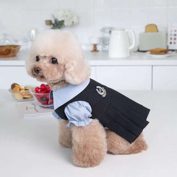 Dark grey teddy bear style dog clothing on pet model showing full coverage design