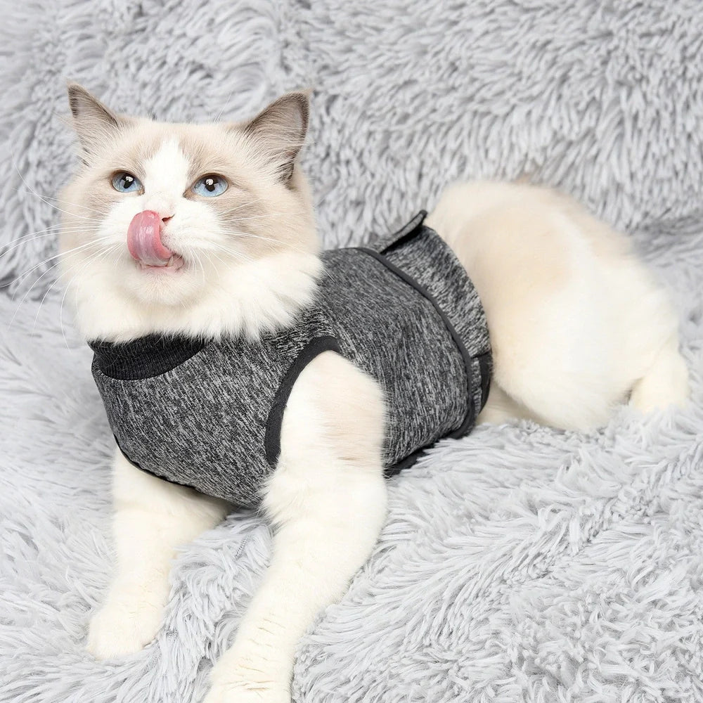 Dark grey double-layer cat clothing with European-American styling and sterilisation suit