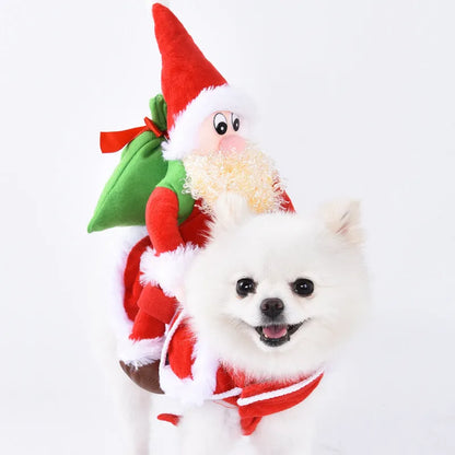 Halloween dog costume example in size M, showing the Bat Suit design made from polyester fabric.