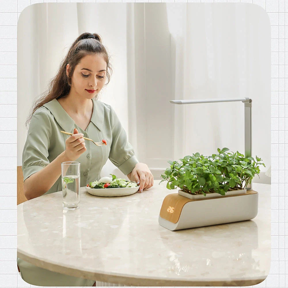 Adjustable Hydroponics Planter with Customizable Grow Lights for Indoor Garden
