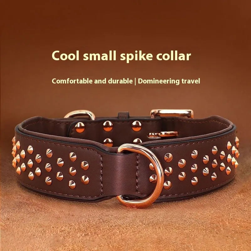 Leather dog collar with metal rivets in chocolate colour, showing rivet spacing and buckle detail