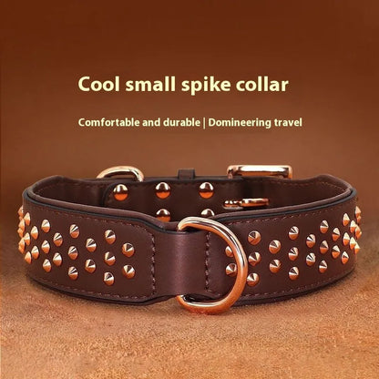 Leather dog collar with metal rivets in chocolate colour, showing rivet spacing and buckle detail