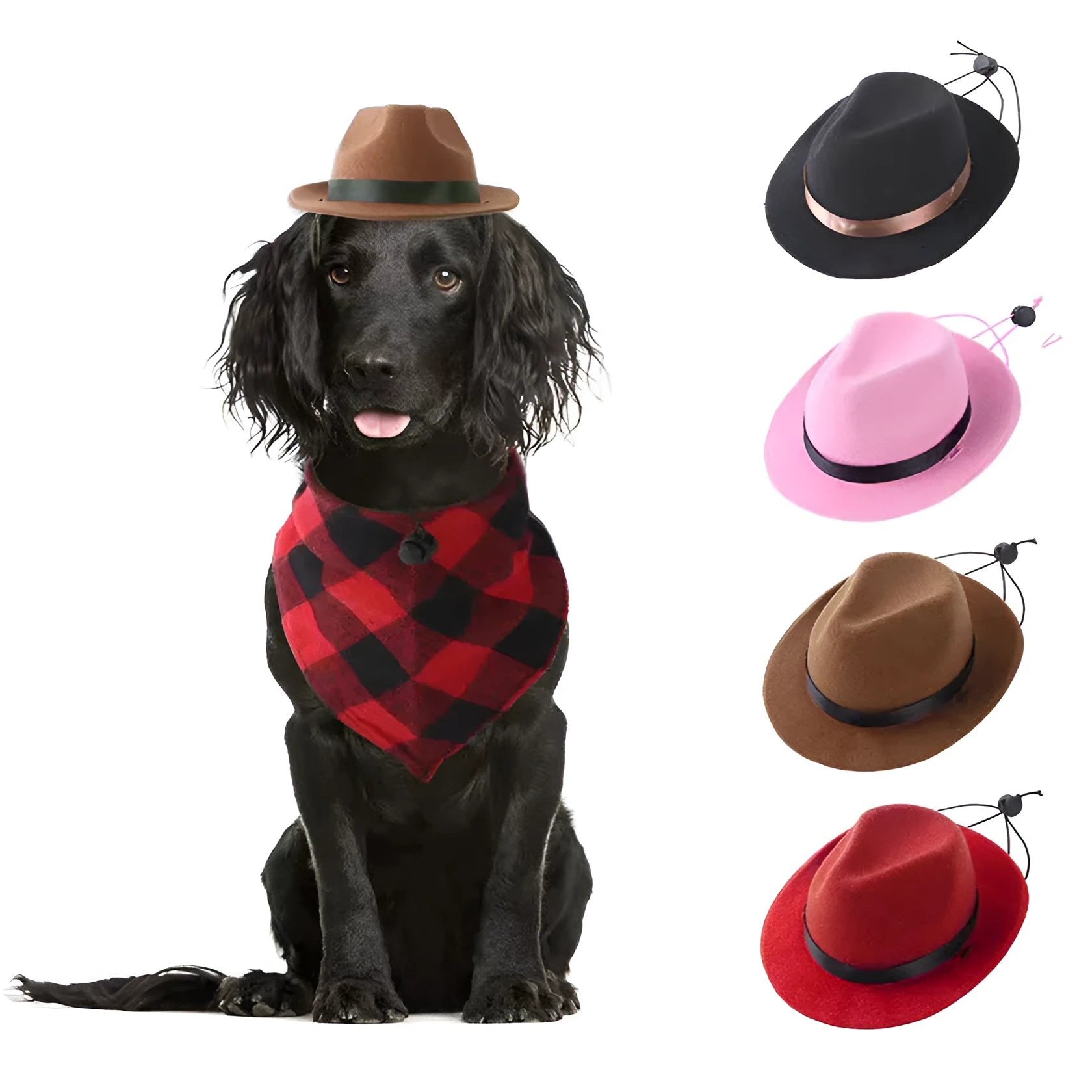Mini pet hat for small dogs and cats in wool-felt fabric, S size 155cm diameter, available in black, brown, pink, and red.