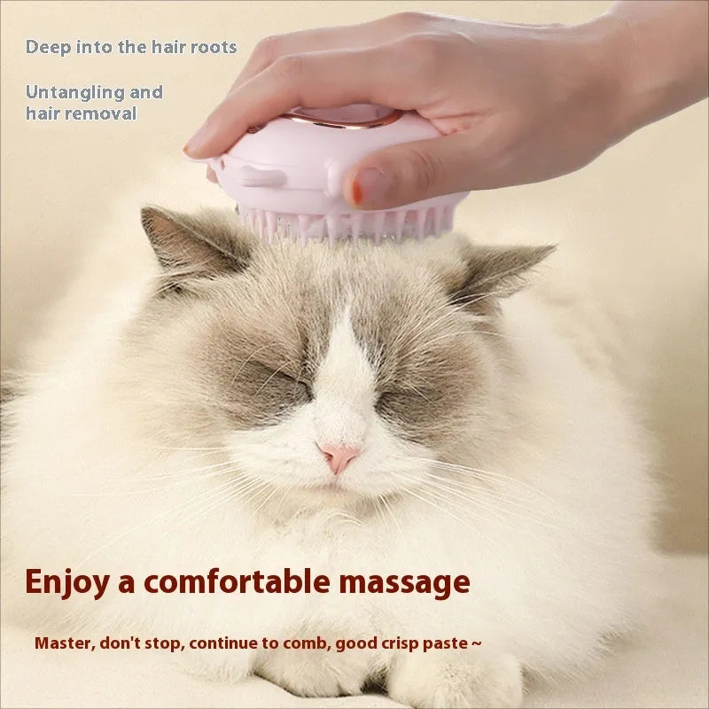 Multifunctional pet comb laser toy with grooming brush and integrated laser pointer in ABS plastic