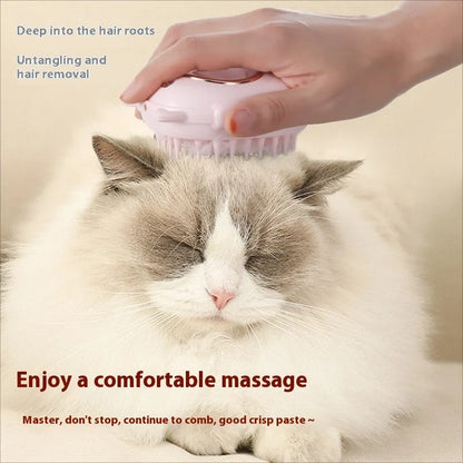 Multifunctional pet comb laser toy with grooming brush and integrated laser pointer in ABS plastic